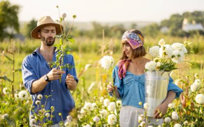 Agroturystyka – odkryj nowy sposób zwiedzania